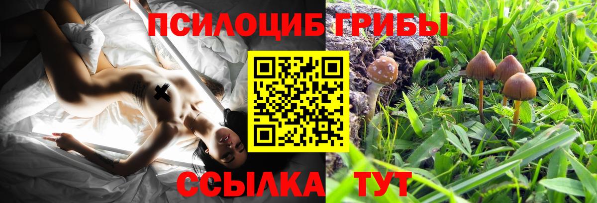 Белгород  Псилоцибиновые грибы прущие грибы  Вход с VPN 