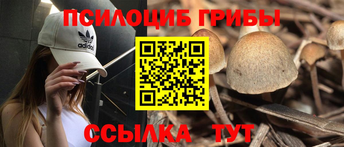 Галлюциногенные грибы MAGIC MUSHROOMS Белгород